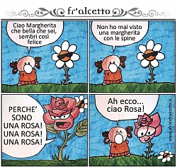 Alcide fr’alcetto