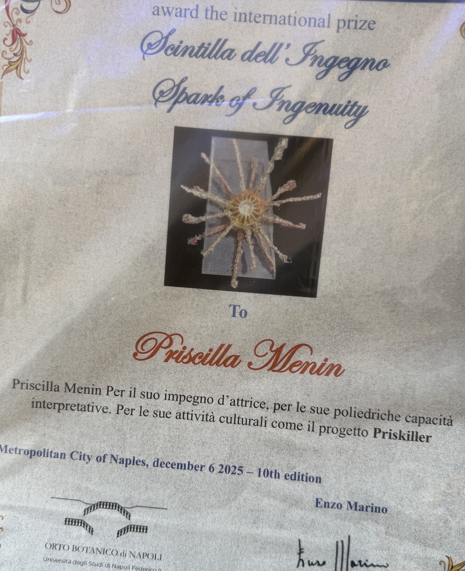 Scintilla dell’ingegno 2025